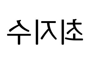 KPOP TOO(티오오、ティーオーオー) 지수 (ジス) プリント用応援ボード型紙、うちわ型紙　韓国語/ハングル文字型紙 左右反転