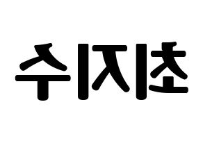 KPOP TOO(티오오、ティーオーオー) 지수 (ジス) コンサート用　応援ボード・うちわ　韓国語/ハングル文字型紙 左右反転