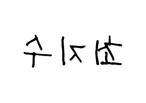 KPOP TOO(티오오、ティーオーオー) 지수 (ジス) 名前 応援ボード 作り方 左右反転