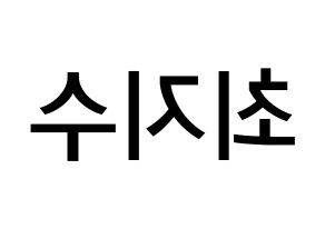 KPOP TOO(티오오、ティーオーオー) 지수 (チェ･ジス, ジス) 無料サイン会用、イベント会用応援ボード型紙 左右反転