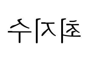 KPOP TOO(티오오、ティーオーオー) 지수 (ジス) 応援ボード・うちわ　韓国語/ハングル文字型紙 左右反転