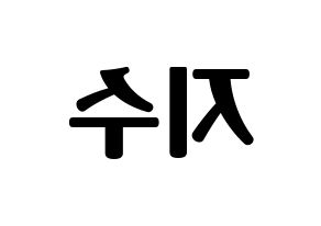 KPOP TOO(티오오、ティーオーオー) 지수 (ジス) コンサート用　応援ボード・うちわ　韓国語/ハングル文字型紙 左右反転