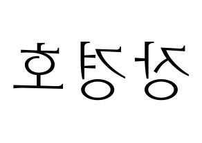 KPOP TOO(티오오、ティーオーオー) 경호 (ギョンホ) 応援ボード・うちわ　韓国語/ハングル文字型紙 左右反転