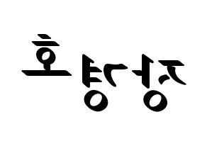 KPOP TOO(티오오、ティーオーオー) 경호 (ギョンホ) 応援ボード ハングル 型紙  左右反転