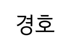 KPOP TOO(티오오、ティーオーオー) 경호 (ギョンホ) コンサート用　応援ボード・うちわ　韓国語/ハングル文字型紙 通常