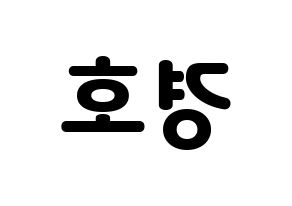 KPOP TOO(티오오、ティーオーオー) 경호 (ギョンホ) 応援ボード・うちわ　韓国語/ハングル文字型紙 左右反転