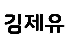 KPOP TOO(티오오、ティーオーオー) 제이유 (ジェイユー) 応援ボード・うちわ　韓国語/ハングル文字型紙 通常