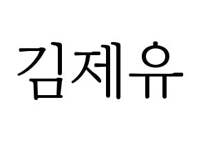 KPOP TOO(티오오、ティーオーオー) 제이유 (ジェイユー) 応援ボード・うちわ　韓国語/ハングル文字型紙 通常