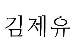 KPOP TOO(티오오、ティーオーオー) 제이유 (ジェイユー) 応援ボード・うちわ　韓国語/ハングル文字型紙 通常