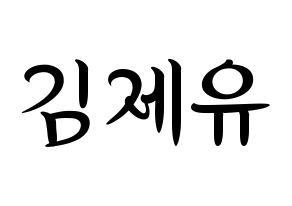 KPOP TOO(티오오、ティーオーオー) 제이유 (ジェイユー) k-pop 応援ボード メッセージ 型紙 通常