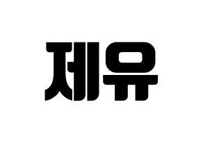 KPOP TOO(티오오、ティーオーオー) 제이유 (ジェイユー) コンサート用　応援ボード・うちわ　韓国語/ハングル文字型紙 通常