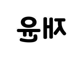 KPOP TOO(티오오、ティーオーオー) 재윤 (ジェユン) 応援ボード・うちわ　韓国語/ハングル文字型紙 左右反転