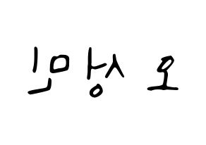 KPOP TOO(티오오、ティーオーオー) 제롬 (ジェローム) 応援ボード ハングル 型紙  左右反転