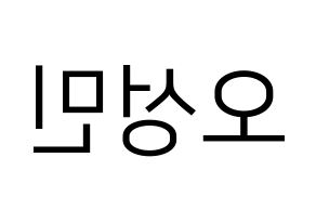 KPOP TOO(티오오、ティーオーオー) 제롬 (ジェローム) プリント用応援ボード型紙、うちわ型紙　韓国語/ハングル文字型紙 左右反転