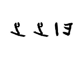 KPOP歌手 TOO(티오오、ティーオーオー) 応援ボード型紙、うちわ型紙　韓国語/ハングル文字 左右反転