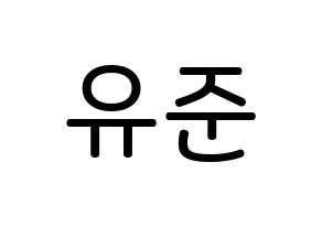 KPOP TRITOPS(트리탑스、トゥリトップス) 장유준 (チャン･ユジュン, ユジュン) 無料サイン会用、イベント会用応援ボード型紙 通常