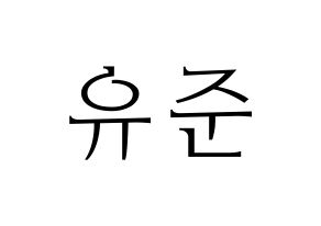 KPOP TRITOPS(트리탑스、トゥリトップス) 장유준 (ユジュン) 応援ボード・うちわ　韓国語/ハングル文字型紙 通常