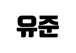 KPOP TRITOPS(트리탑스、トゥリトップス) 장유준 (ユジュン) コンサート用　応援ボード・うちわ　韓国語/ハングル文字型紙 通常