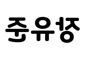 KPOP TRITOPS(트리탑스、トゥリトップス) 장유준 (ユジュン) 応援ボード・うちわ　韓国語/ハングル文字型紙 左右反転