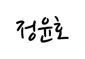 KPOP TVXQ(동방신기、東方神起) 유노윤호 (ユンホ) 応援ボード ハングル 型紙  通常