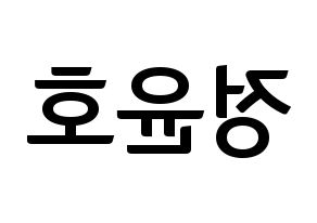 KPOP TVXQ(동방신기、東方神起) 유노윤호 (ユンホ) k-pop アイドル名前 ファンサボード 型紙 左右反転
