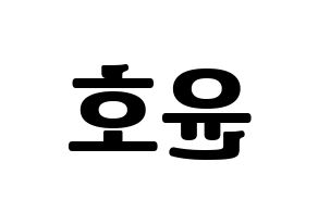 KPOP TVXQ(동방신기、東方神起) 유노윤호 (ユンホ) コンサート用　応援ボード・うちわ　韓国語/ハングル文字型紙 左右反転