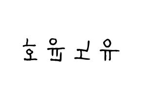 KPOP TVXQ(동방신기、東方神起) 유노윤호 (ユンホ) 名前 応援ボード 作り方 左右反転