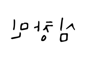 KPOP TVXQ(동방신기、東方神起) 최강창민 (チャンミン) 応援ボード ハングル 型紙  左右反転