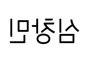 KPOP TVXQ(동방신기、東方神起) 최강창민 (チャンミン) コンサート用　応援ボード・うちわ　韓国語/ハングル文字型紙 左右反転