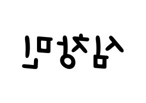 KPOP TVXQ(동방신기、東方神起) 최강창민 (チャンミン) 名前 応援ボード 作り方 左右反転