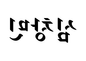 KPOP TVXQ(동방신기、東方神起) 최강창민 (チャンミン) 応援ボード ハングル 型紙  左右反転