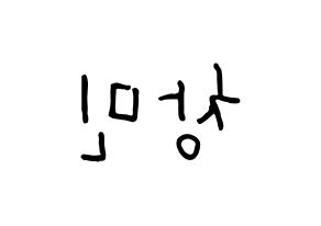 KPOP TVXQ(동방신기、東方神起) 최강창민 (チャンミン) k-pop 応援ボード メッセージ 型紙 左右反転