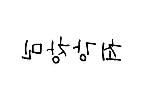 KPOP TVXQ(동방신기、東方神起) 최강창민 (チャンミン) 名前 応援ボード 作り方 左右反転