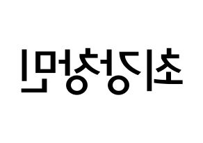 KPOP TVXQ(동방신기、東方神起) 최강창민 (シム・チャンミン, チャンミン) 無料サイン会用、イベント会用応援ボード型紙 左右反転