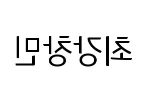 KPOP TVXQ(동방신기、東方神起) 최강창민 (チャンミン) コンサート用　応援ボード・うちわ　韓国語/ハングル文字型紙 左右反転