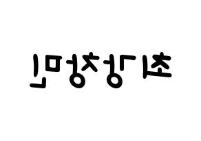 KPOP TVXQ(동방신기、東方神起) 최강창민 (チャンミン) 名前 応援ボード 作り方 左右反転