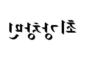 KPOP TVXQ(동방신기、東方神起) 최강창민 (チャンミン) 応援ボード ハングル 型紙  左右反転