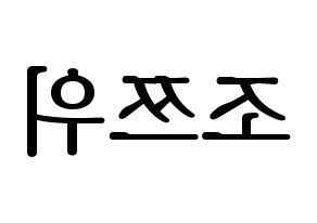 KPOP Twice(트와이스、トゥワイス) 쯔위 (ツウィ) プリント用応援ボード型紙、うちわ型紙　韓国語/ハングル文字型紙 左右反転