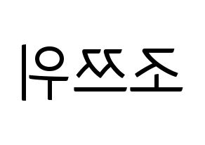 KPOP Twice(트와이스、トゥワイス) 쯔위 (ツウィ) コンサート用　応援ボード・うちわ　韓国語/ハングル文字型紙 左右反転