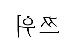KPOP Twice(트와이스、トゥワイス) 쯔위 (ツウィ) 応援ボード・うちわ　韓国語/ハングル文字型紙 左右反転
