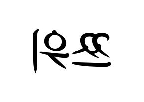 KPOP Twice(트와이스、トゥワイス) 쯔위 (ツウィ) k-pop 応援ボード メッセージ 型紙 左右反転