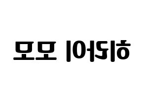 KPOP Twice(트와이스、トゥワイス) 모모 (モモ) コンサート用　応援ボード・うちわ　韓国語/ハングル文字型紙 左右反転