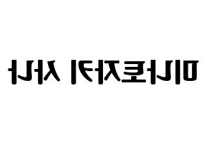 KPOP Twice(트와이스、トゥワイス) 사나 (サナ) コンサート用　応援ボード・うちわ　韓国語/ハングル文字型紙 左右反転