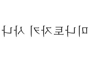 KPOP Twice(트와이스、トゥワイス) 사나 (サナ) 応援ボード・うちわ　韓国語/ハングル文字型紙 左右反転