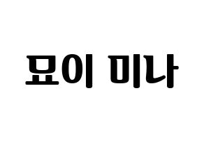 KPOP Twice(트와이스、トゥワイス) 미나 (ミナ) コンサート用　応援ボード・うちわ　韓国語/ハングル文字型紙 通常