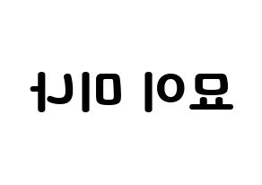 KPOP Twice(트와이스、トゥワイス) 미나 (ミナ) 応援ボード・うちわ　韓国語/ハングル文字型紙 左右反転