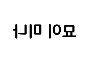 KPOP Twice(트와이스、トゥワイス) 미나 (名井 南, ミナ) k-pop アイドル名前　ボード 言葉 左右反転