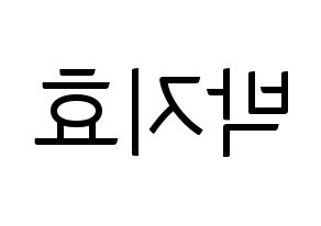 KPOP Twice(트와이스、トゥワイス) 지효 (ジヒョ) コンサート用　応援ボード・うちわ　韓国語/ハングル文字型紙 左右反転