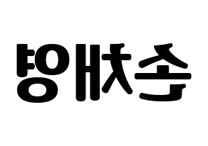 KPOP Twice(트와이스、トゥワイス) 채영 (チェヨン) コンサート用　応援ボード・うちわ　韓国語/ハングル文字型紙 左右反転