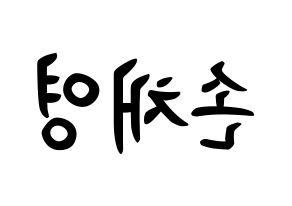 KPOP Twice(트와이스、トゥワイス) 채영 (ソン・チェヨン, チェヨン) k-pop アイドル名前　ボード 言葉 左右反転